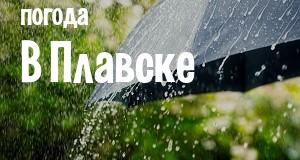 Погода в Плавске