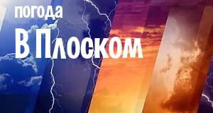 Погода в Плоском