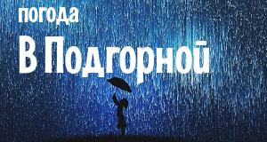 Погода в Подгорной