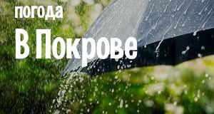 Погода в Покрове
