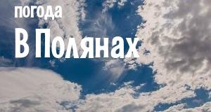 Погода в Полянах
