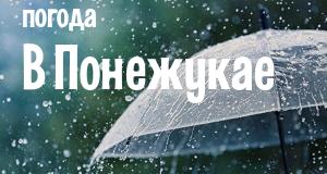 Погода в Понежукае