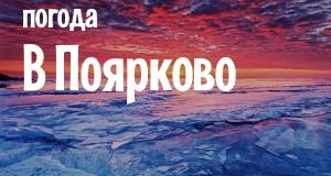 Погода в Поярково