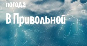 Погода в Привольной