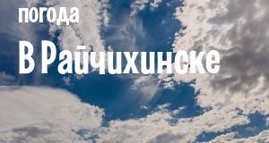 Погода в Райчихинске