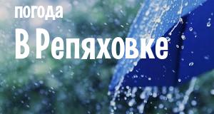 Погода в Репяховке