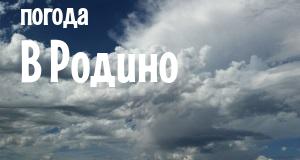 Погода в Родино