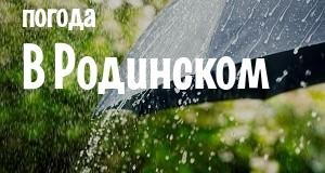 Погода в Родинском