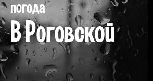 Погода в Роговской