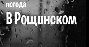 Погода в Рощинском