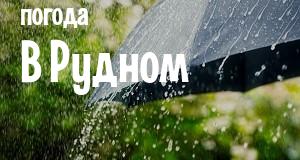 Погода в Рудном