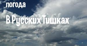 Погода в Русских Тишках