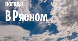 Погода в Рясном