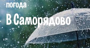 Погода в Саморядово