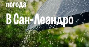 Погода в Сан-Леандро