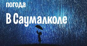 Погода в Саумалколе