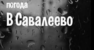Погода в Савалеево