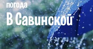 Погода в Савинской