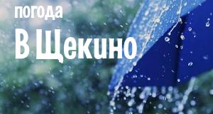 Погода в Щекино