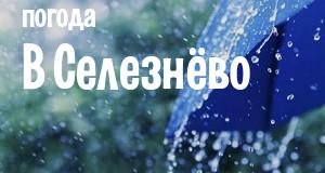 Погода в Селезнёво