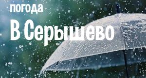 Погода в Серышево