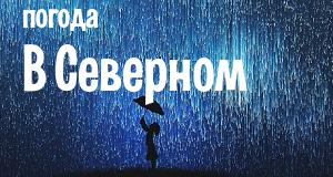 Погода в Северном