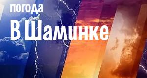 Погода в Шаминке