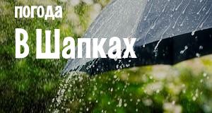 Погода в Шапках