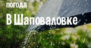 Погода в Шаповаловке
