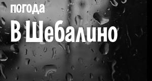 Погода в Шебалино
