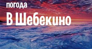 Погода в Шебекино