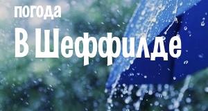 Погода в Шеффилде