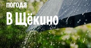 Погода в Щёкино