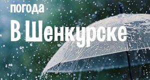 Погода в Шенкурске