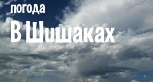 Погода в Шишаках
