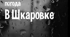 Погода в Шкаровке