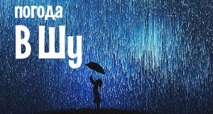 Погода в Шу