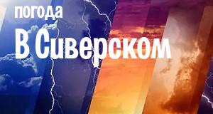 Погода в Сиверском