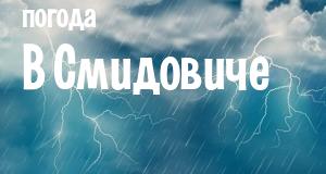 Погода в Смидовиче