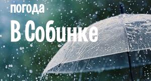 Погода в Собинке