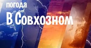 Погода в Совхозном