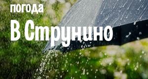 Погода в Струнино