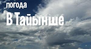 Погода в Тайынше