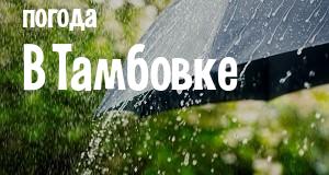 Погода в Тамбовке