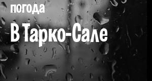 Погода в Тарко-Сале