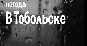 Погода в Тобольске