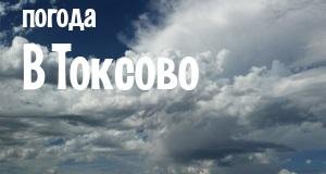 Погода в Токсово