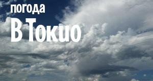 Погода в Токио