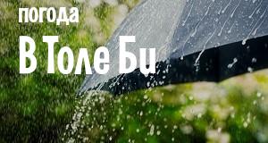 Погода в Толе Би