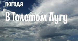 Погода в Толстом Лугу